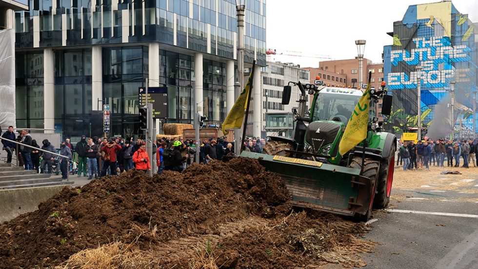 agrotes belgium farmers european union